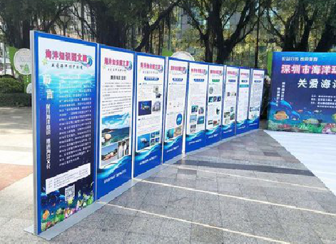 肥东KT板的种类和知识。